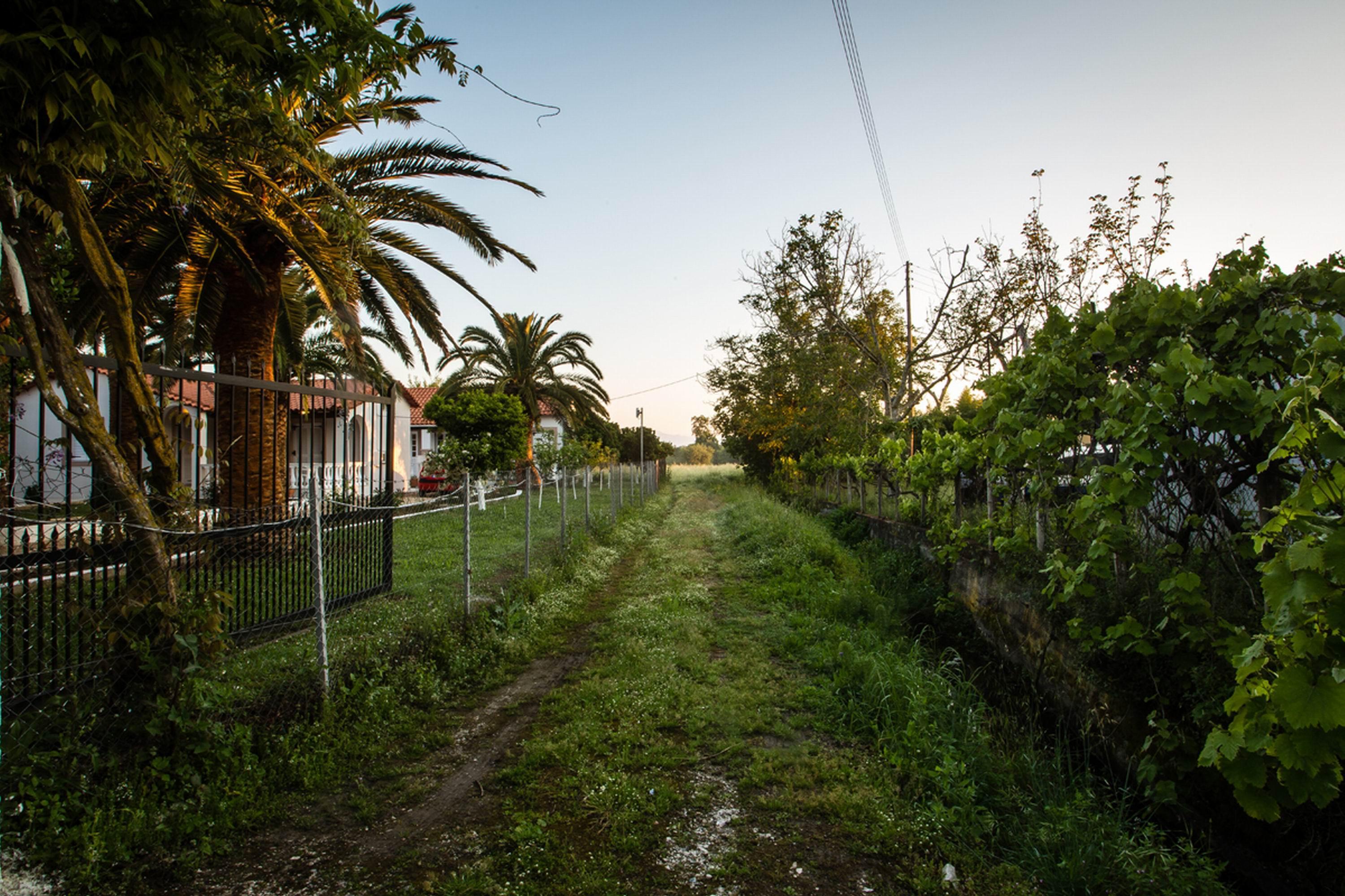 Paradise Village Roda (Corfu)